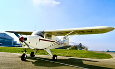Piper 1
